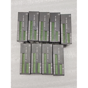 RENU FIOA 0800 L B ANALOG INPUT MODULE REV. A4 1