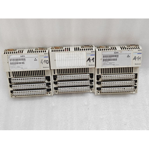 Schneider 170 BDI 356 00 Interbus–S TIO Input Module 170BDI35600 TSX TIO (12)