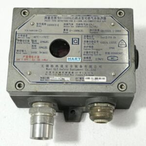 POINT TYPE GENERAL MONITORS COMBUSTIBLE GAS INTELLIGENT SENSOR S4000CH II LEL CH4